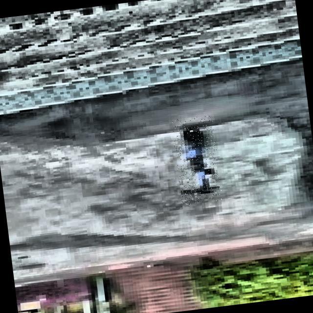 Dataset Image