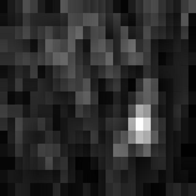 Dataset Image