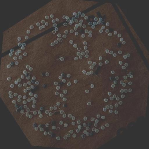 Dataset Image