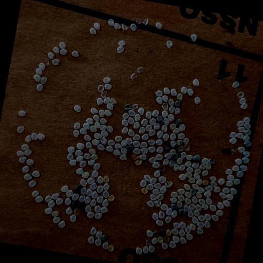 Dataset Image