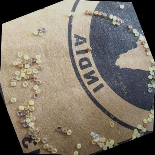 Dataset Image