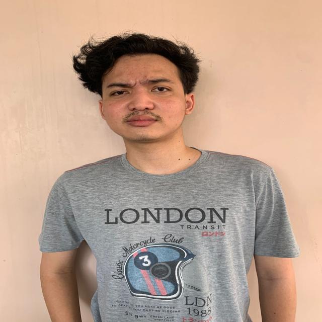 Dataset Image