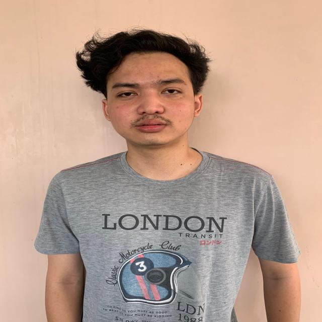 Dataset Image