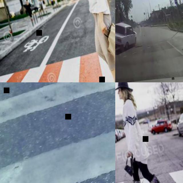 Dataset Image