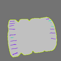 Annotation Visualization