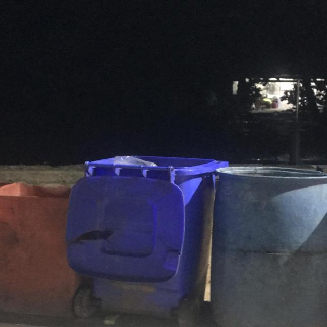Dataset Image