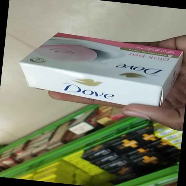 Dataset Image