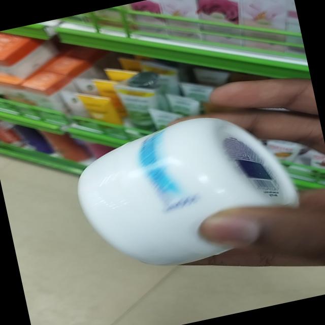 Dataset Image