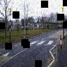 Dataset Image