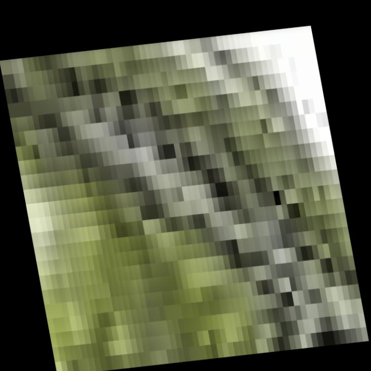 Dataset Image