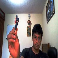 Dataset Image