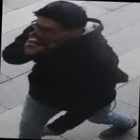 Dataset Image