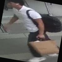 Dataset Image