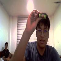 Dataset Image