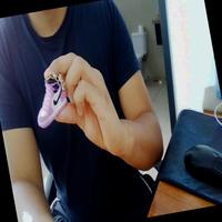 Dataset Image