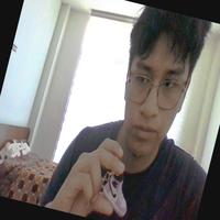 Dataset Image