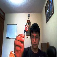 Dataset Image