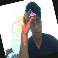 Dataset Image