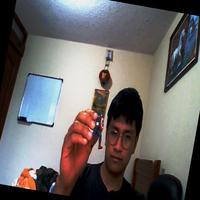 Dataset Image