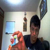 Dataset Image