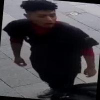 Dataset Image