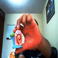Dataset Image