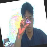 Dataset Image