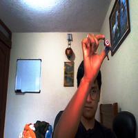 Dataset Image