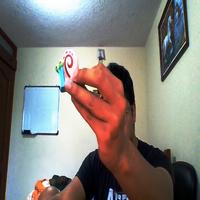 Dataset Image