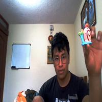 Dataset Image