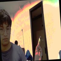 Dataset Image