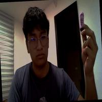 Dataset Image