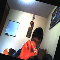 Dataset Image