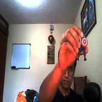 Dataset Image