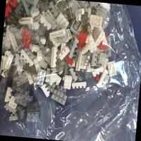 Dataset Image