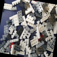 Dataset Image