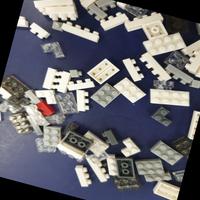 Dataset Image