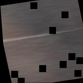 Dataset Image