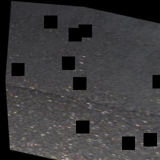 Dataset Image