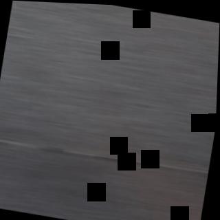 Dataset Image