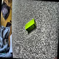 Dataset Image