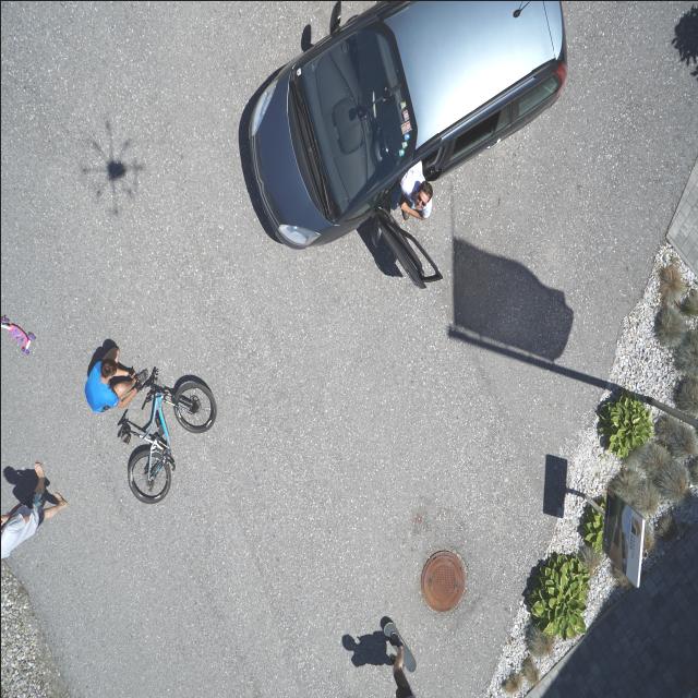 Dataset Image