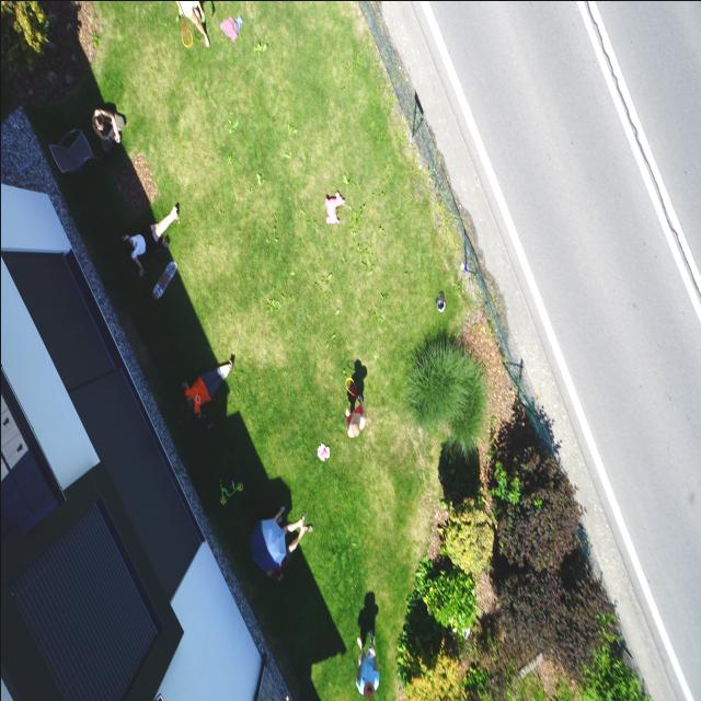 Dataset Image