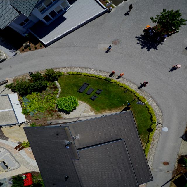 Dataset Image