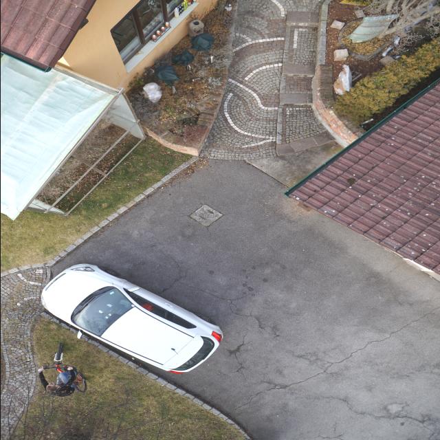 Dataset Image