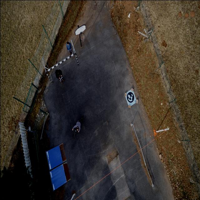 Dataset Image