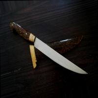 Dataset Image