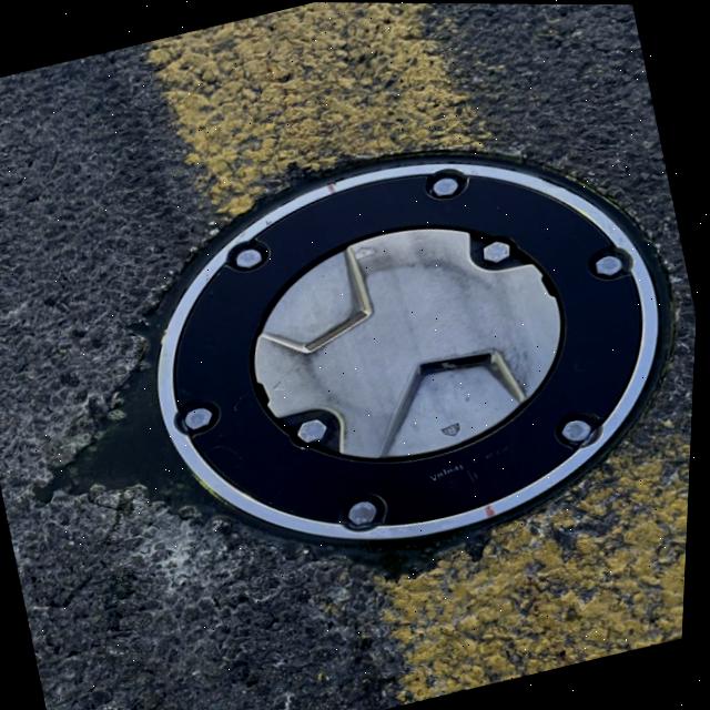 Dataset Image