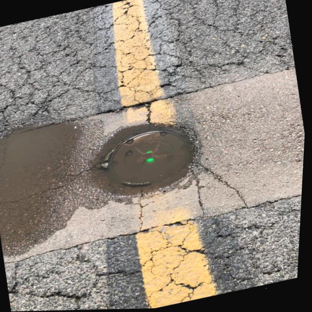 Dataset Image