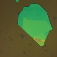 Dataset Image